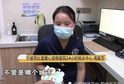 杨先生爆料电梯视频播放